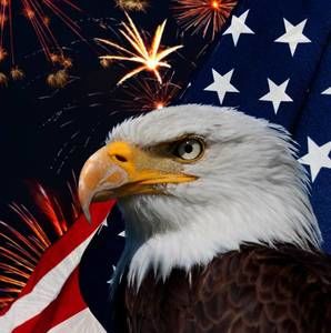 Meet your Posher, Jack